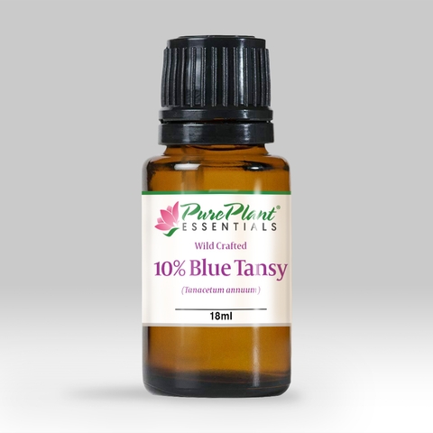 Blue Tansy Oil, Tanacetum anuum 10% Dilution - Wild Crafted Organic, Morocco - Private Reserve Standard, GC/MS Tested-Single Pure Essential Oil-PurePlant Essentials