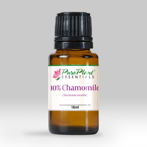Chamomile German Essential Oil, Matricaria recutita 10% Dilution - Bulgaria - Private Reserve Standard, GC/MS Tested-Single Pure Essential Oil-PurePlant Essentials