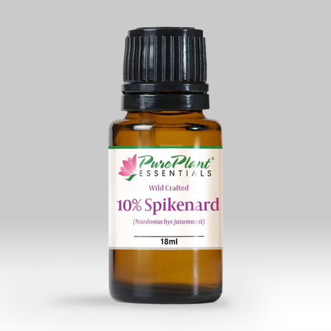 Spikenard Root Oil, Nardostachys jatamansi 10% Dilution - Ethically Wild Crafted Organic, Nepal - Private Reserve Standard, GC/MS Tested - CITES CERTIFIED-Single Pure Essential Oil-PurePlant Essentials