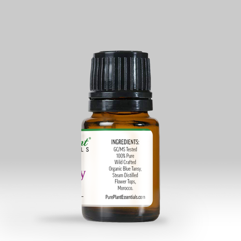 Blue Tansy Oil, Tanacetum annuum - Wild Crafted Organic, Morocco - Private Reserve Standard, GC/MS Tested-Single Pure Essential Oil-PurePlant Essentials
