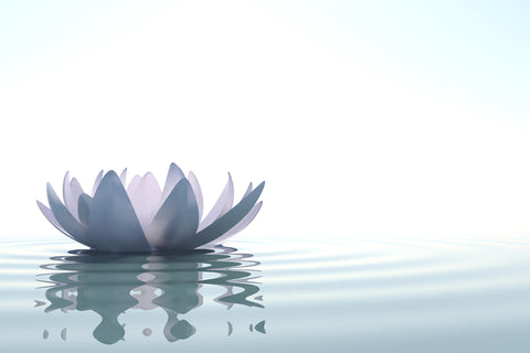 Calm - Inner Peace Mist - (Extra Strength)-Aromatic Mist-PurePlant Essentials