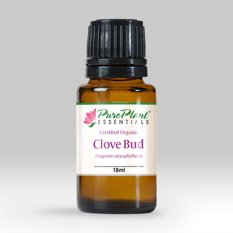 Clove Bud Oil, Eugenia caryophyllata - Organic, Madagascar (High Phenol) - Private Reserve Standard, GC/MS Tested - OVERSTOCK CLEARANCE-Single Pure Essential Oil-PurePlant Essentials