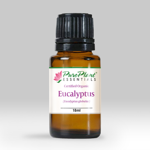 Eucalyptus Essential Oil, Eucalyptus globulus - Organic, Portugal (High 1,8 Cineole) - Private Reserve Standard, GC/MS Tested-Single Pure Essential Oil-PurePlant Essentials