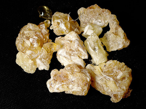 Frankincense/Olibanum Oil, Boswellia frereana - Ethically Wild Crafted Organic, Somalia - Private Reserve Standard, GC/MS Tested-Single Pure Essential Oil-PurePlant Essentials