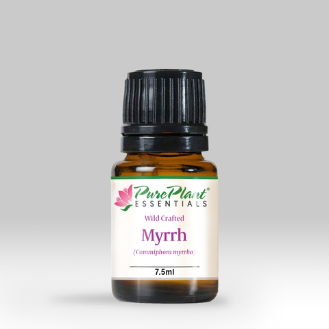 Myrrh Oil, Commiphora myrrha - Ethically Wild Crafted Organic, Ethiopia - Private Reserve Standard, GC/MS Tested-Single Pure Essential Oil-PurePlant Essentials
