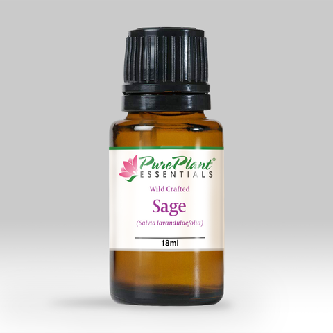 Sage Essential Oil, Salvia lavandulaefolia - Ethically Wild Crafted Organic, Spain - Private Reserve Standard, GC/MS Tested-Single Pure Essential Oil-PurePlant Essentials