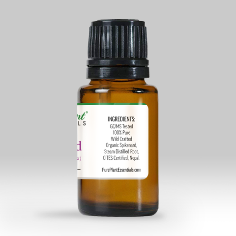 Spikenard Oil, Nardostachys jatamansi — Ethically Wild Crafted Organic, Nepal - Private Reserve Standard, GC/MS Tested - CITES CERTIFIED-Single Pure Essential Oil-PurePlant Essentials