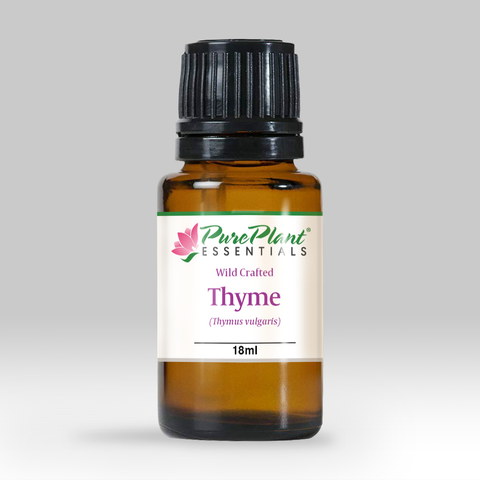 Thyme Oil, Thymus vulgaris - Ethically Wild Crafted Organic, Germany (High Thymol) - Private Reserve Standard, GC/MS Tested-Single Pure Essential Oil-PurePlant Essentials