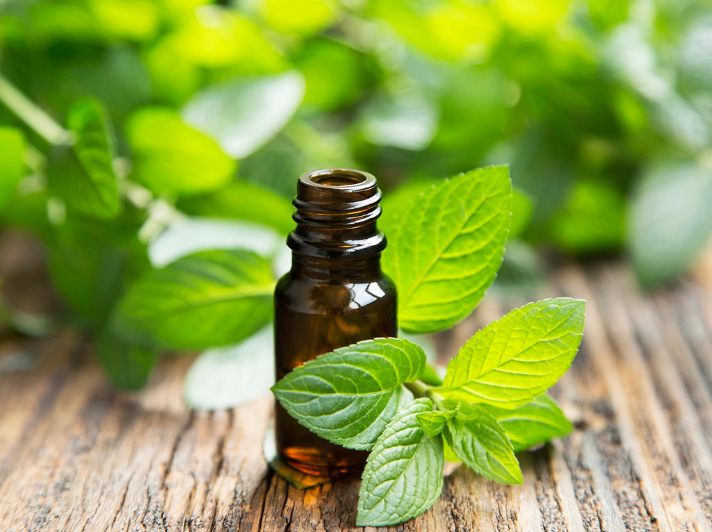 Peppermint Essential Oil: The #1 Most Powerful Energy Oil in Aromatherapy