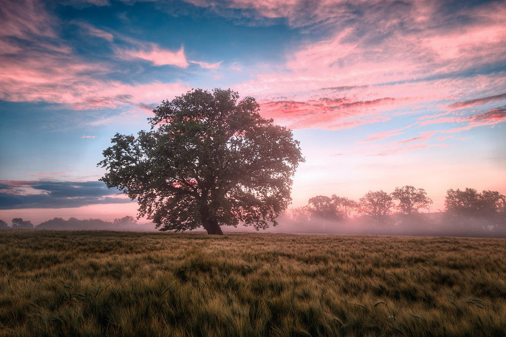 Reset Your Life for Abundance: A Scent Ritual to Release Scarcity & Attract Flow