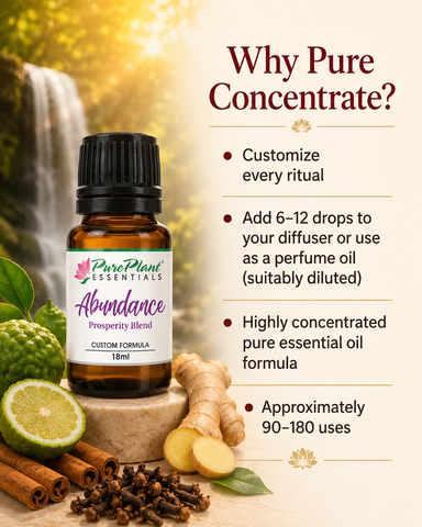 Abundance Prosperity - Wealth & Attraction Blend-Essential Oil-PurePlant Essentials