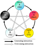 Chinese Medicine Energetics: Balance Your Organ Meridians with Essential Oils-Consulting & Tutorial Programs-PurePlant Essentials