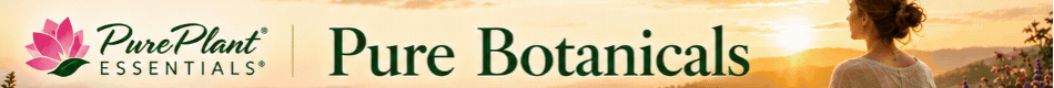 Homepage banner