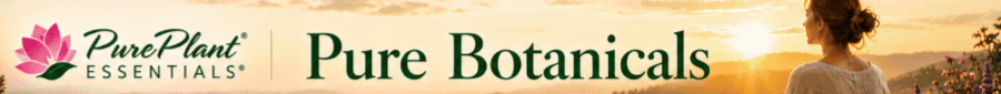 Homepage banner